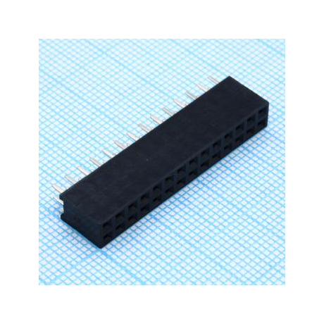 DS1023-2X14S21