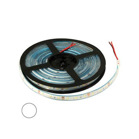 2835 300LED IP68 12V WHITE