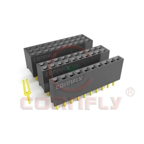 DS1023-2x16S21