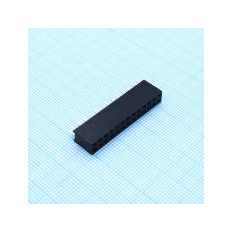 DS1023-2X13S21