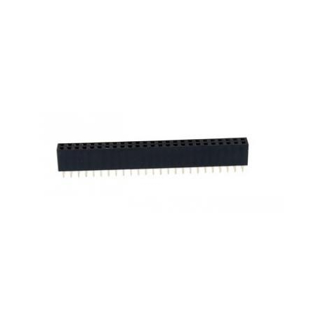 DS1023-2X25SF1