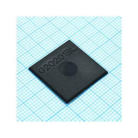 G202013L