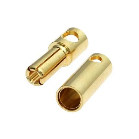 PLUG 5.0 M+F
