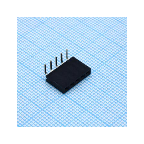 DS1024-1X5R2