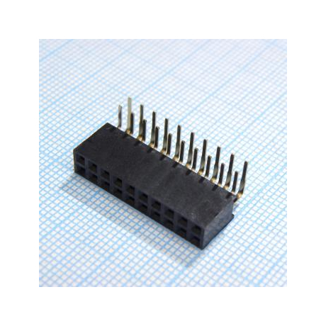 DS1024-2X10R2