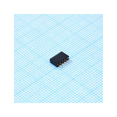 DS1065-01-1X5S8BV