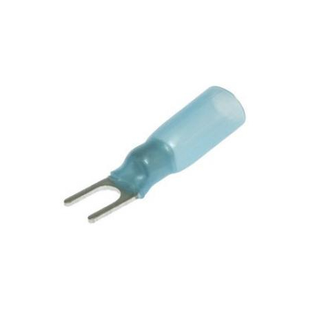 SV2-4 HST BLUE