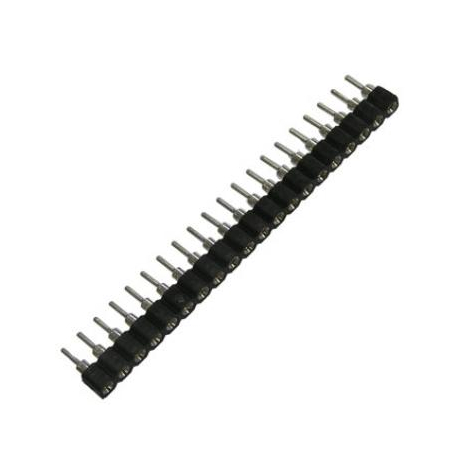 SCSL-20