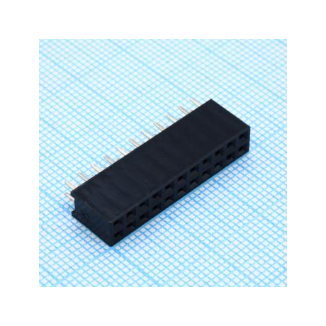 DS1023-2X11S21