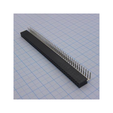 DS1024-2X40R2