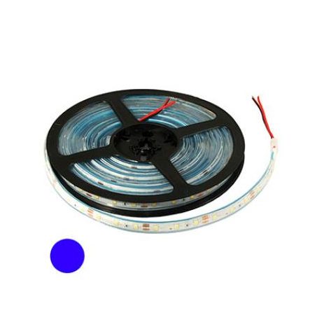 2835 300LED IP68 12V BLUE