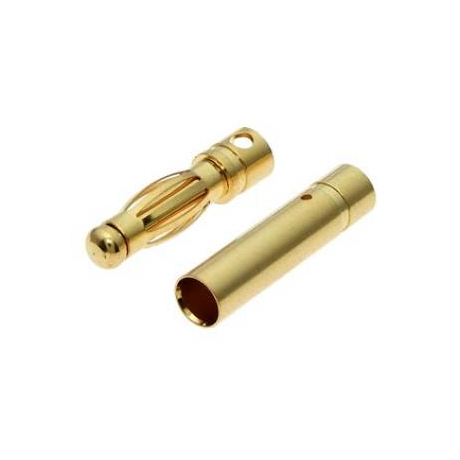 PLUG 4.0 M+F