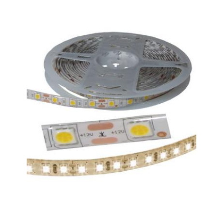 5050 300LED IP65 12V W-WHITE