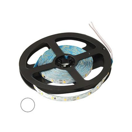 S-2835 300LED IP33 12V WHITE