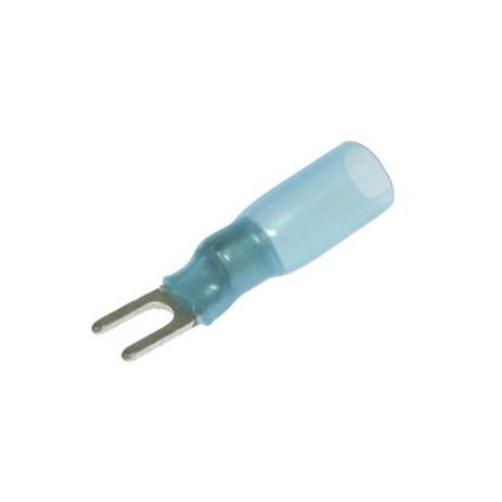 SV2-3 HST BLUE