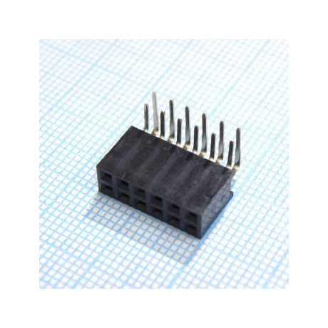 DS1024-2X6R2