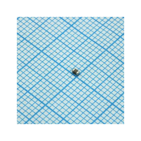 RI0603L101JT