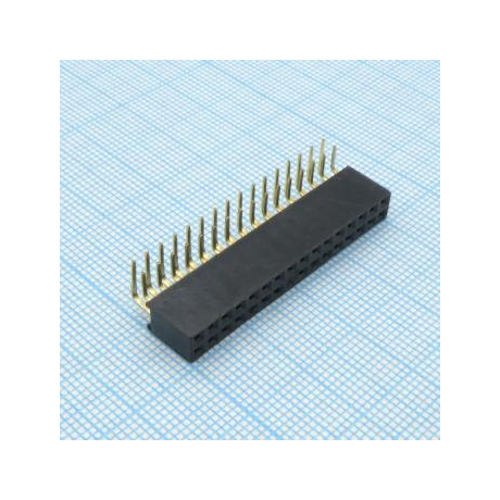 DS1024-2X16R2