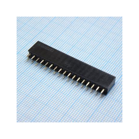 DS1023-2X17S21