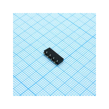 DS1065-02-1X8S8BS1