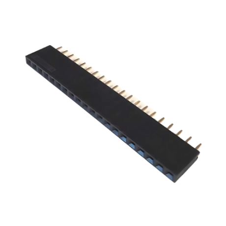 DS1023-1x20S21