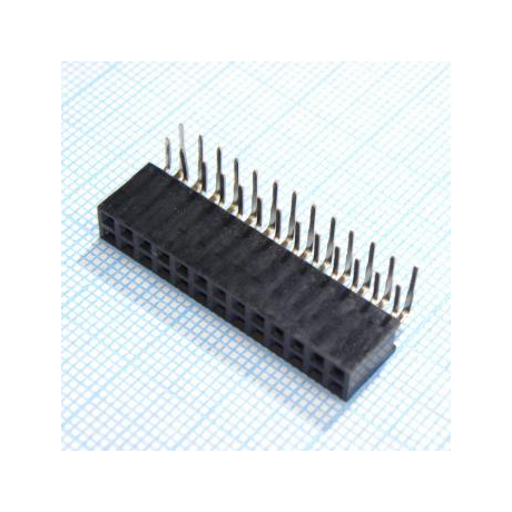 DS1024-2X13R2
