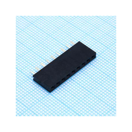 DS1023-1X9S21