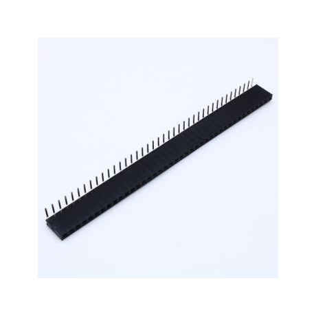 DS1024-1X40R2