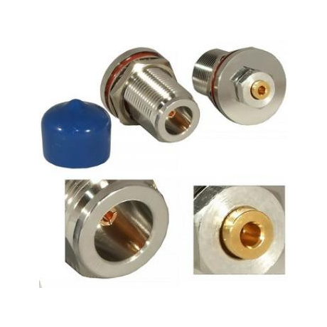 N-F137Q