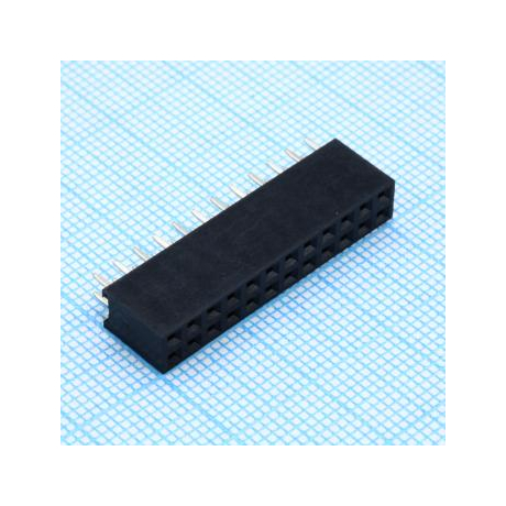 DS1023-2X12S21