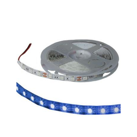 5050 300LED IP33 12V BLUE