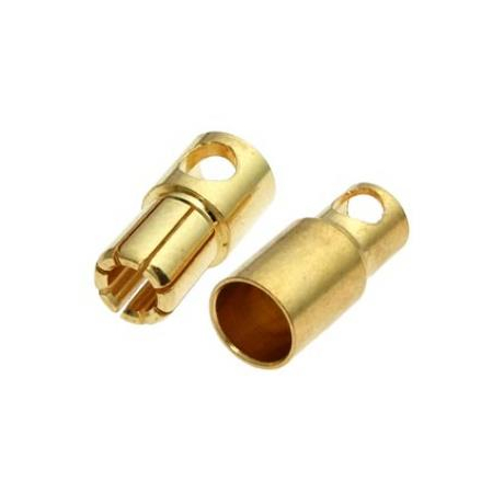 PLUG 6.0 M+F